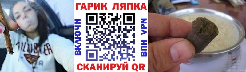 ГАШ Ice-O-Lator  Инта 