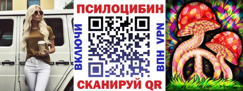 где найти   Инта  Галлюциногенные грибы мицелий 
